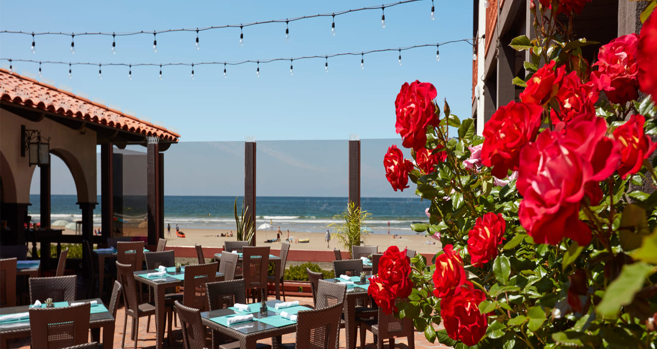 The BEST Restaurants in La Jolla: The La Jolla Insiders Guides - La ...